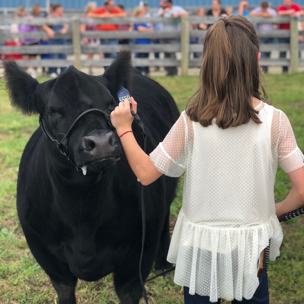 Meet your Posher, Toni